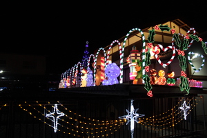 中山邸(駐車場側アップ)