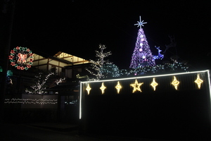 中山邸(玄関側)