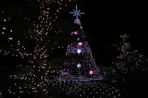 中山邸(ツリー)