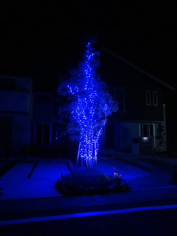 大和モデルハウス1