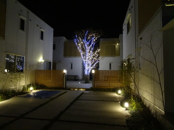 大和モデルハウス2-1