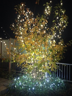 守山区中山邸　シャンパンゴールド