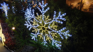 ミナミクリニック2