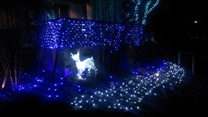 ダイワハウス岡崎竜美南展示場4