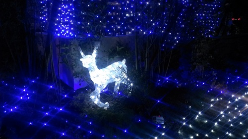 ダイワハウス岡崎竜美南展示場5