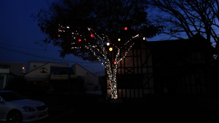 レストランベニーニ